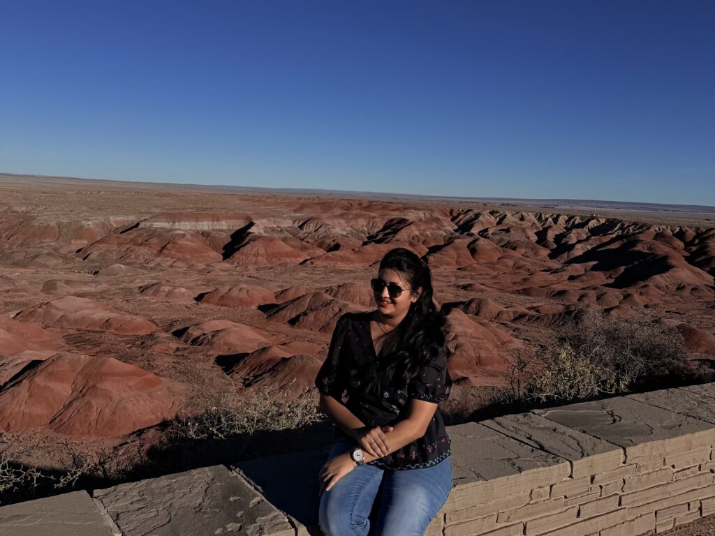 painteddesert painteddesert