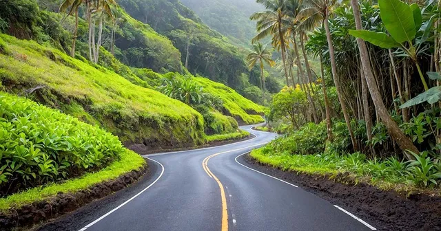 road to hana guide where to stop what to see 640w