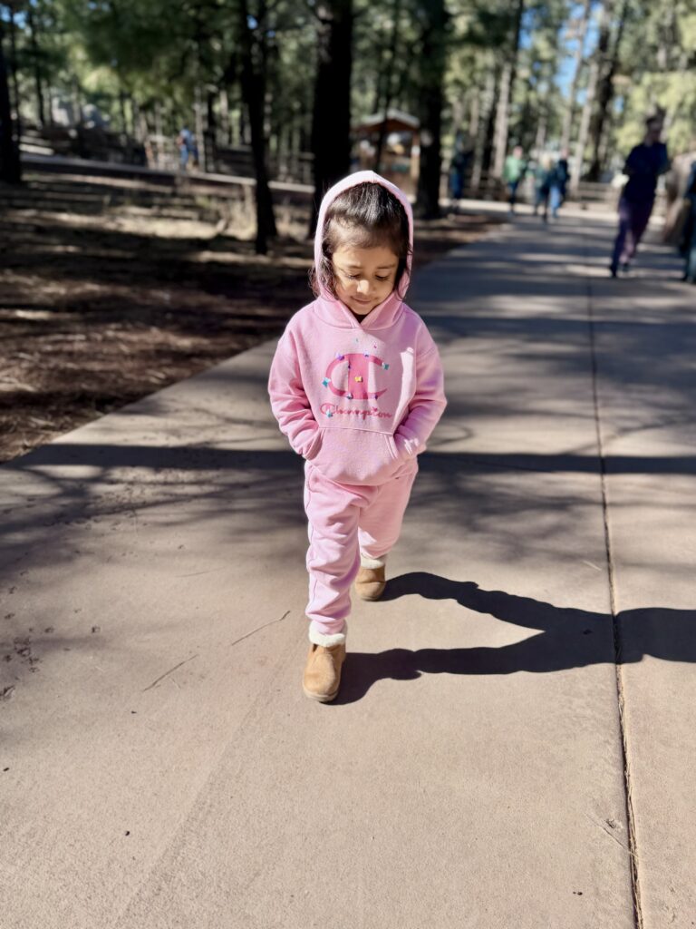 Day 1 — Bears, Forests & Holiday Lights Walking In Bearizone Park 768x1024